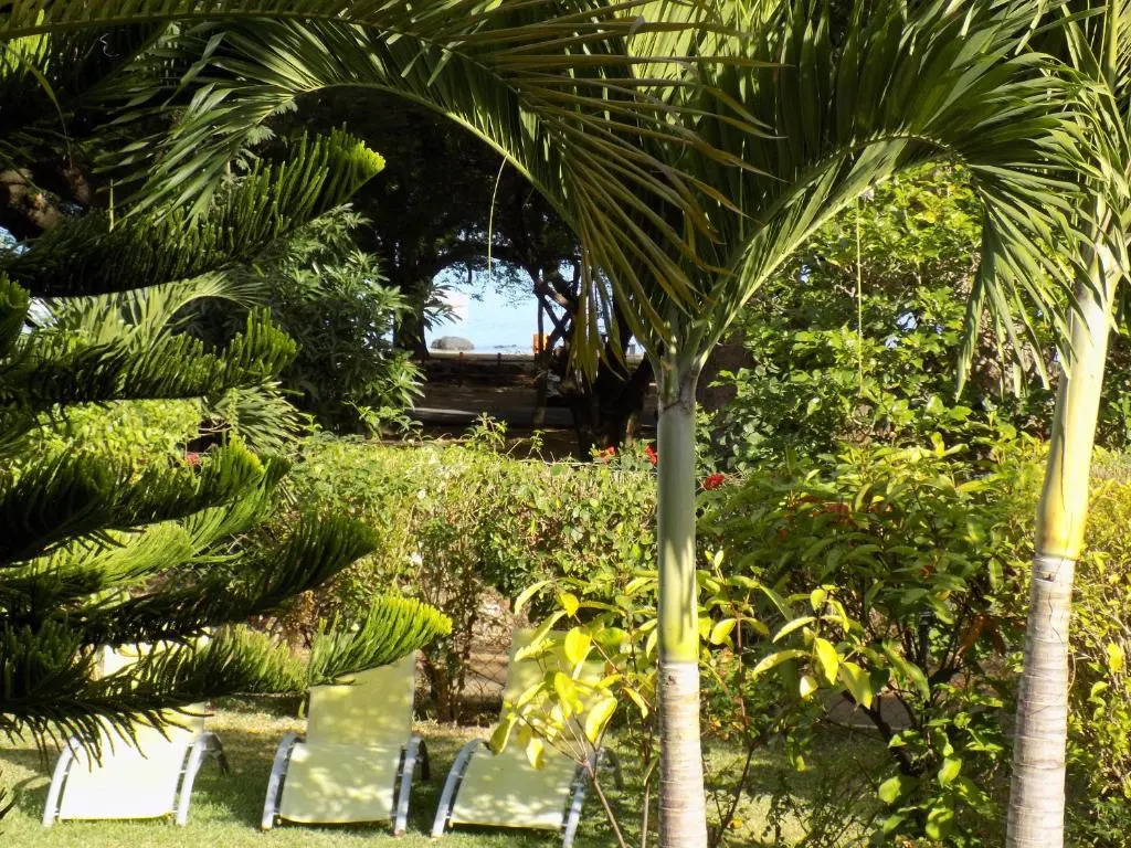 Villa Osumare Rootsy Beach front Guest House B&B
