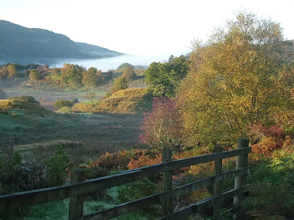Braeside Guesthouse