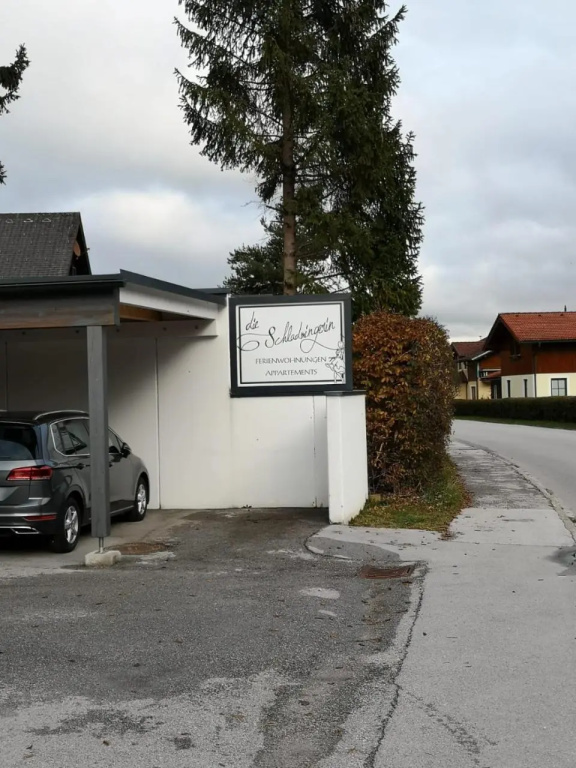 Die Schladmingerin