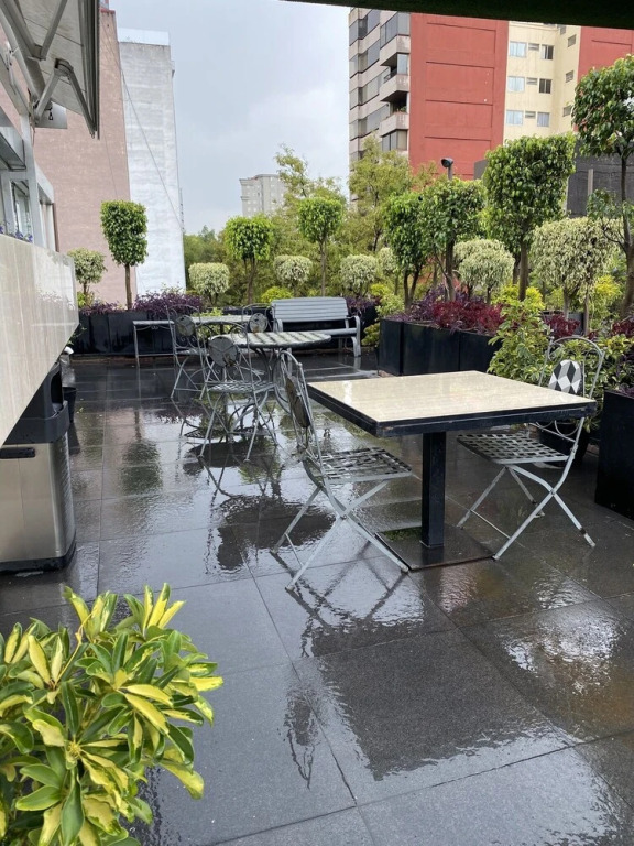 Cozy Stlish Rooms in Polanco