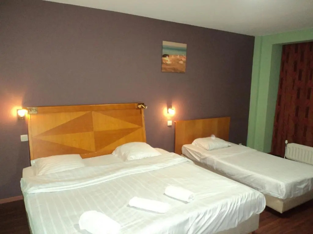 Hotel Albert