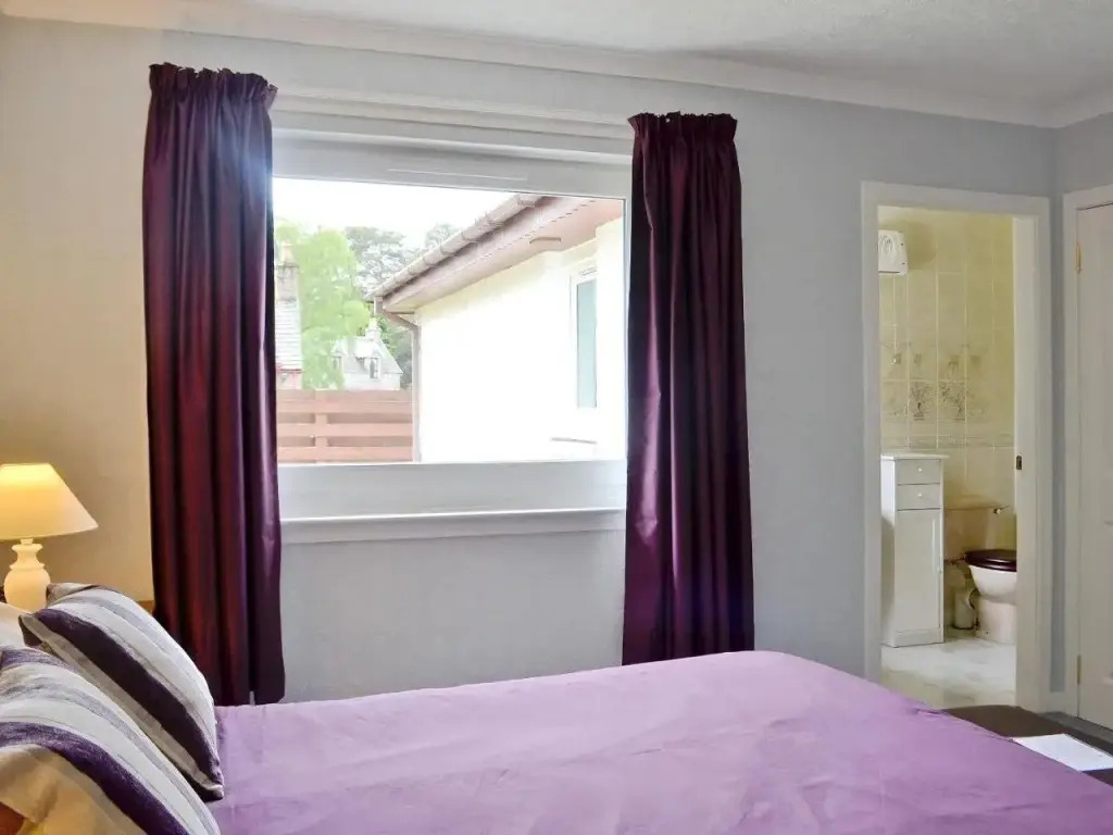 Tall Pines