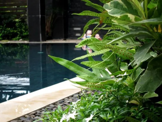 Baanwandavee Hua Hin