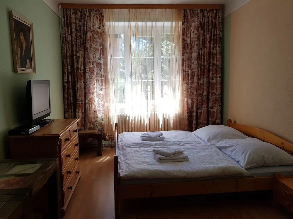 Hotel Bor