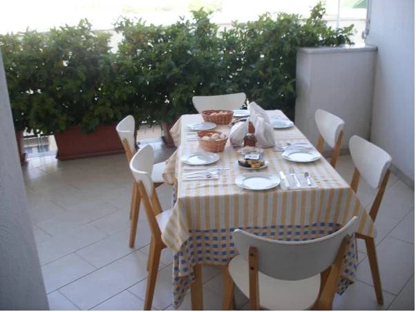 B&B Paluada