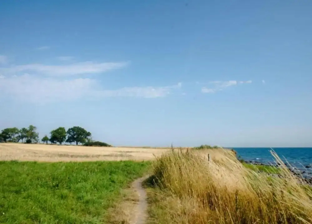 Apartment in Fehmarn OT Landkirchen