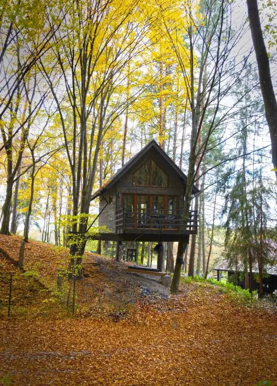 Na Skraju Lasu Domek na Drzewie & Glamping