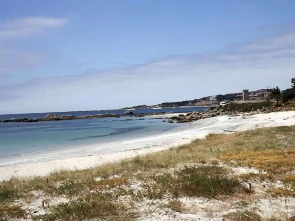 Mar de Rosas