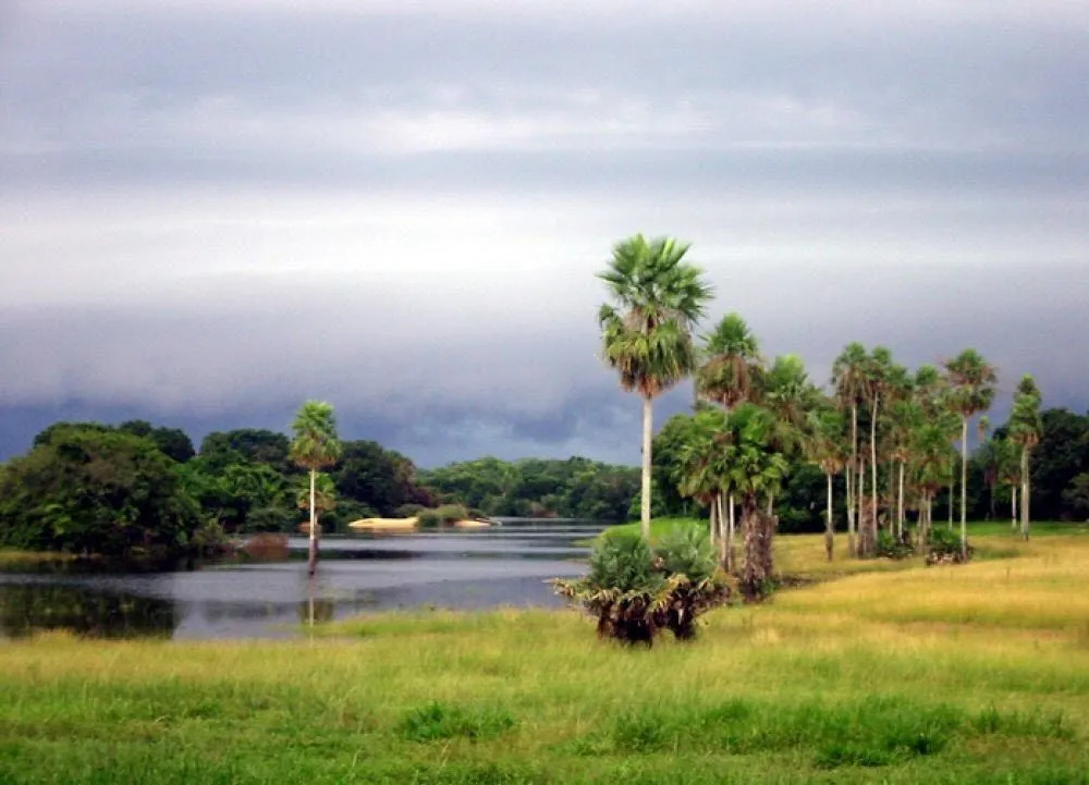 Fazenda Barranco Alto - Lodge