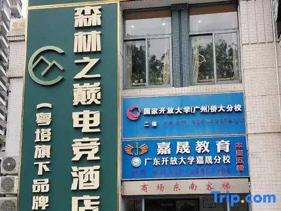 Top of the Forest Esports Hotel (Guangzhou Huashi Subway Station)