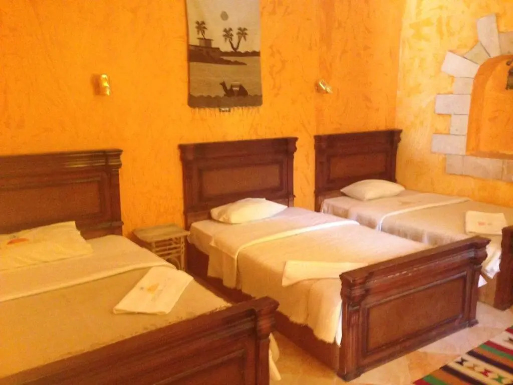 Dream Lodge Siwa دريم لودج سيوة