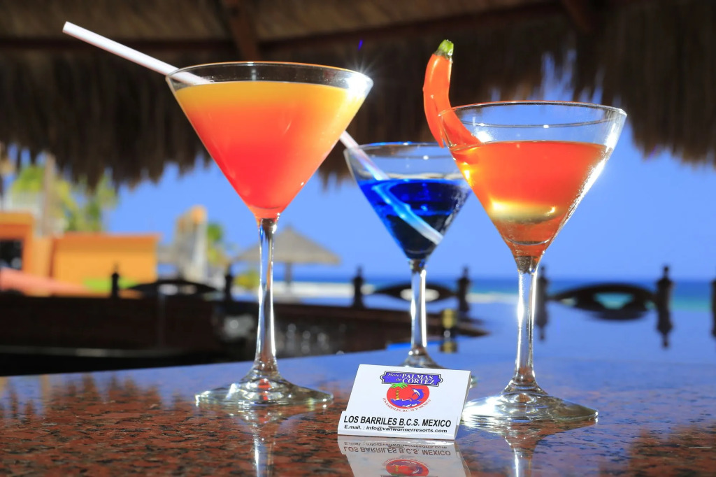 Hotel Playa Del Sol