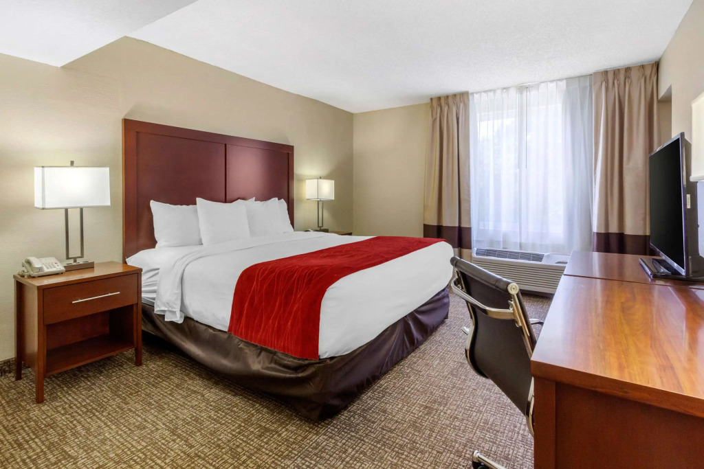 Comfort Inn St Petersburg North