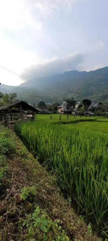 Organic Farm Homestay