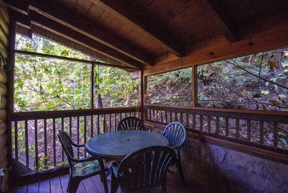 ER228 - Locker's Lodge Great Location - Close To Town! 1 Bedroom Cabin by RedAwning