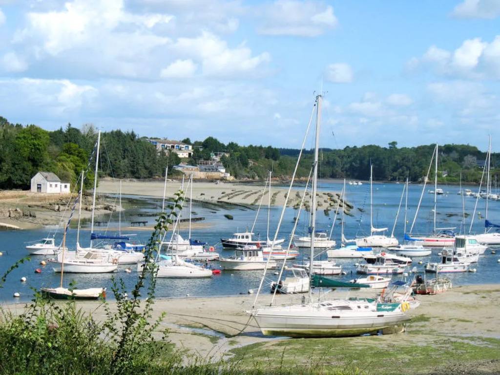 Bellevue (MSR103)