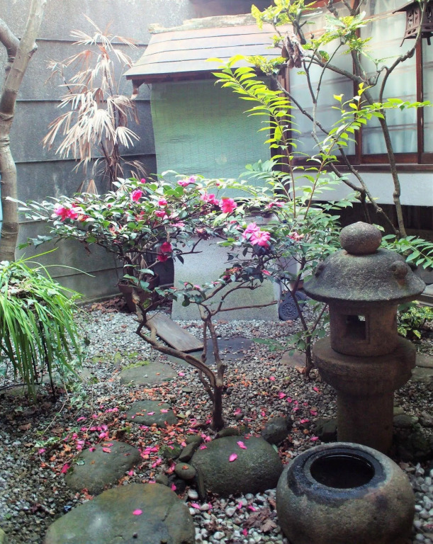 Deer Guesthouse - Hostel