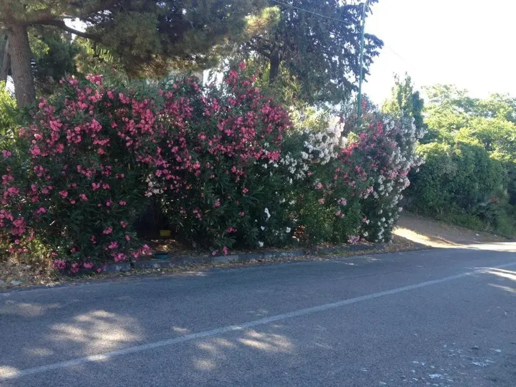 Villa Gianna