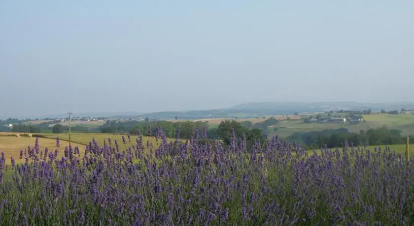 Gîtes et Chambres dhôtes Les Passiflores