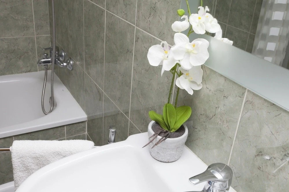 SingularStays Candela III