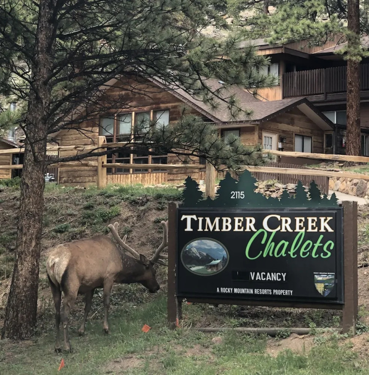 Timber Creek Chalets: 1