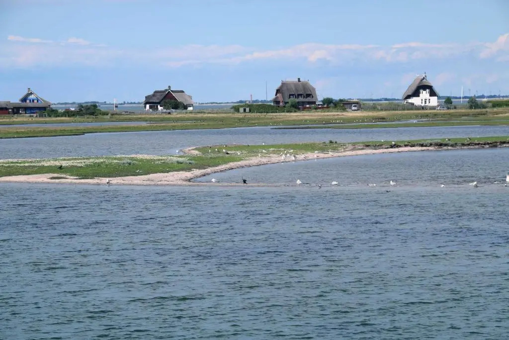 Ostsee - Reetdachhaus Nr 9 "Emma" im Strand Resort