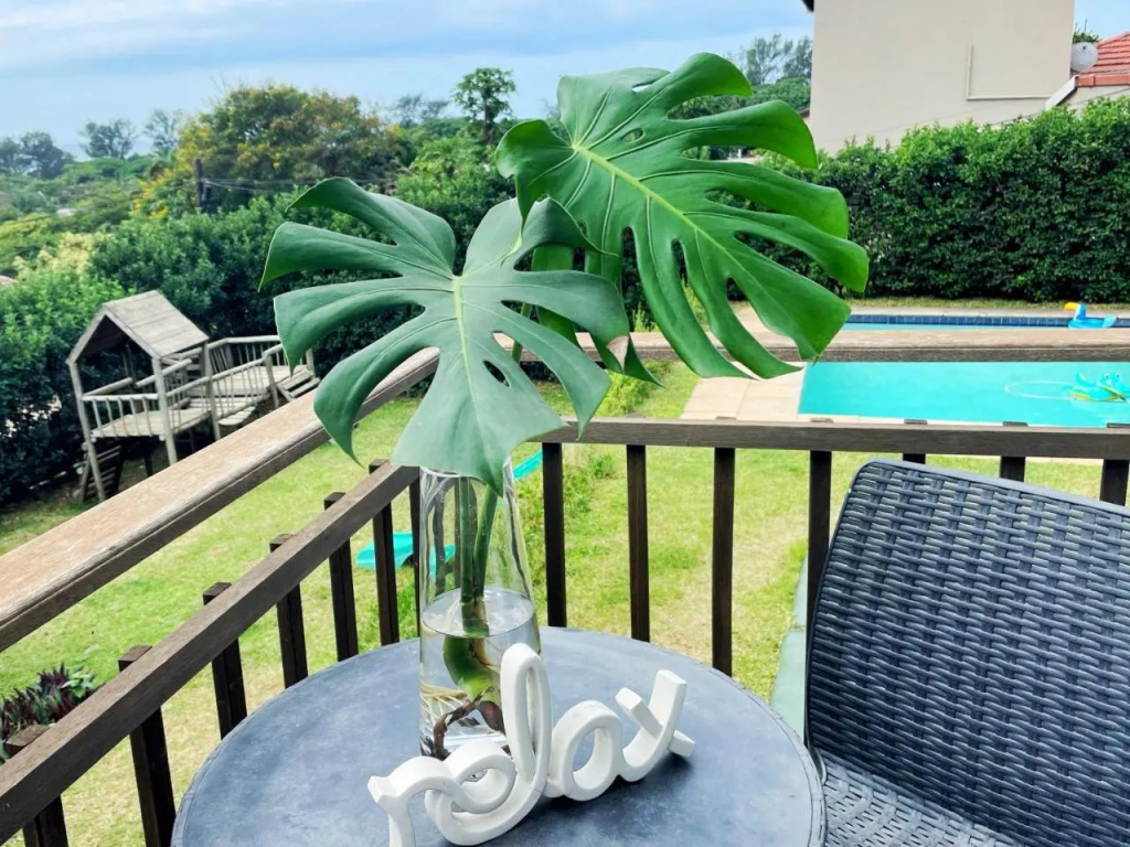 Studio 13 Durban North