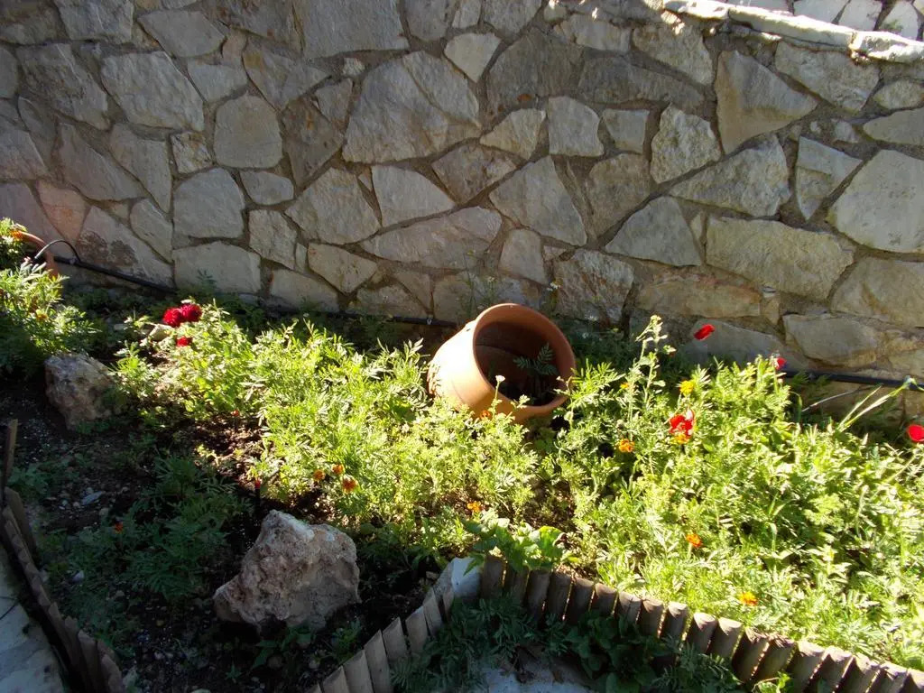 Theasis suites-Ορεινή Φιλοξενία