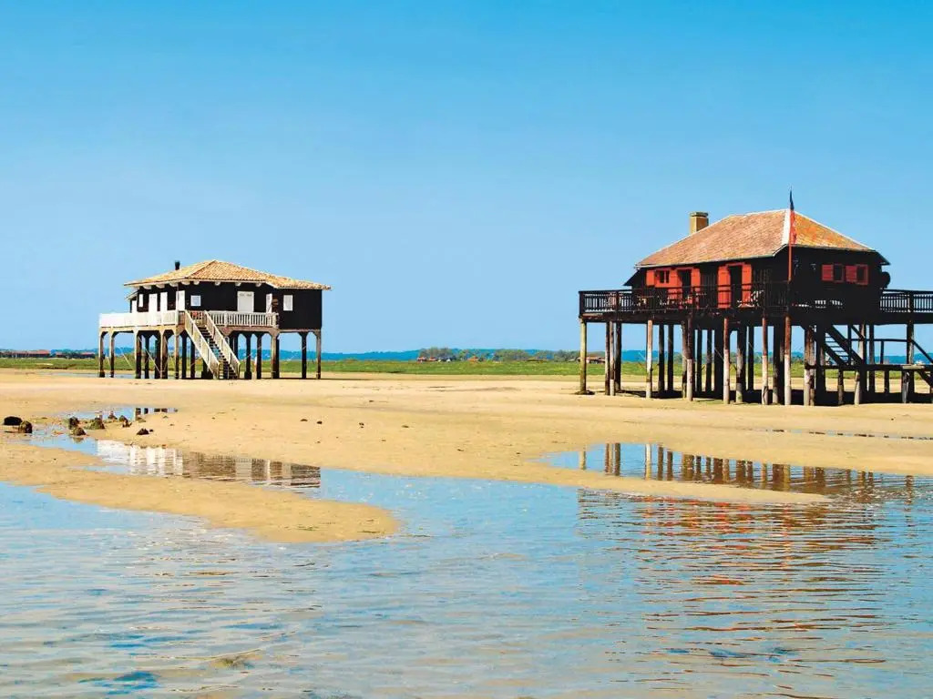 Appartement Arcachon, 2 pièces, 4 personnes - FR-1-420-93