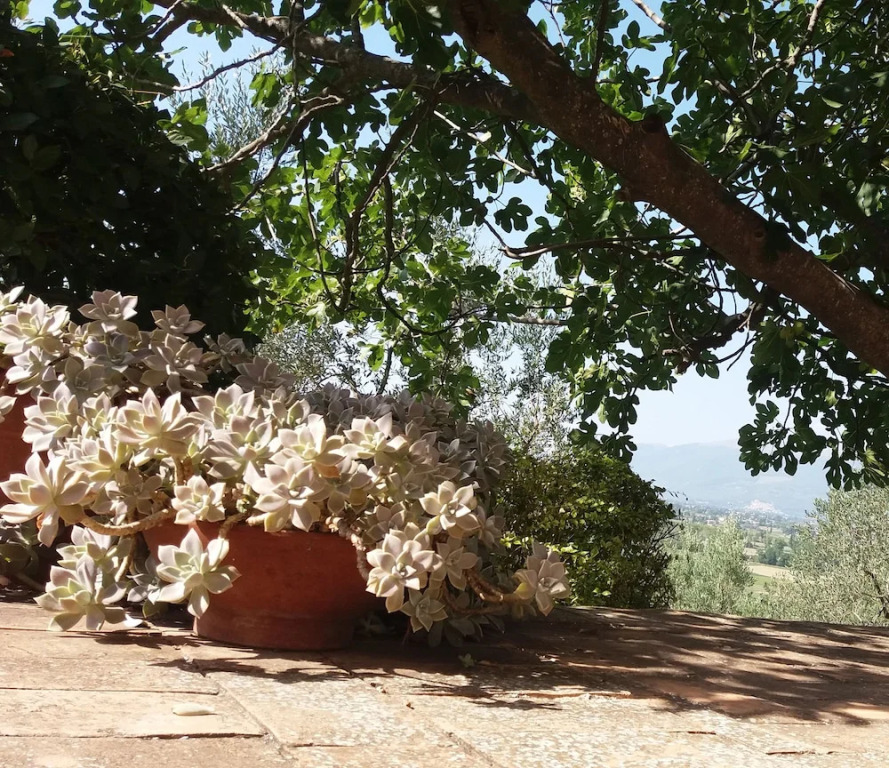 Tenuta Colverano
