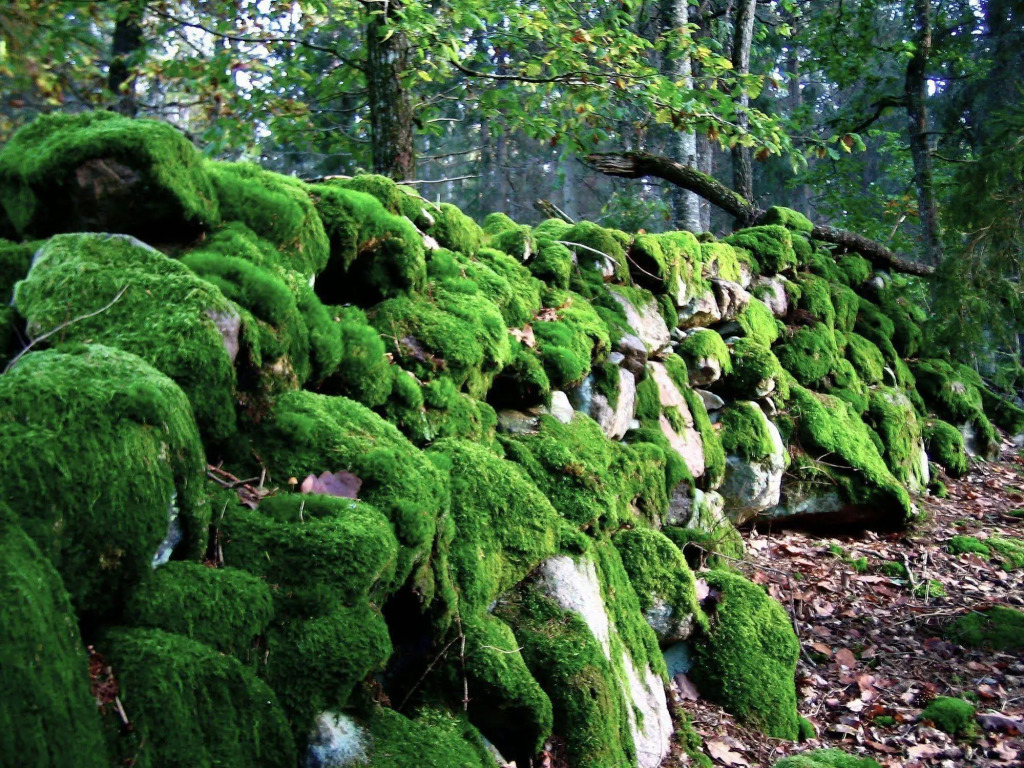 Kvarnen i Knällsberg