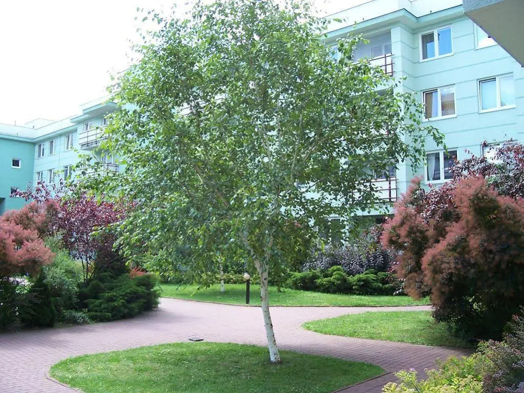 Apartament Czerska 18
