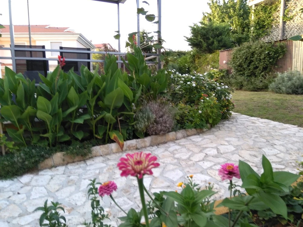 Apartman Lavanda
