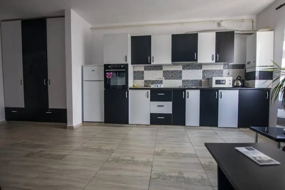 Impeccable 1-bed Studio in Roșu