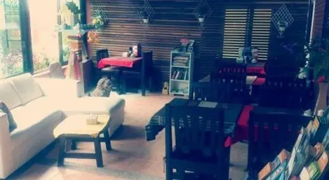The Chiang Mai Nest Guest House