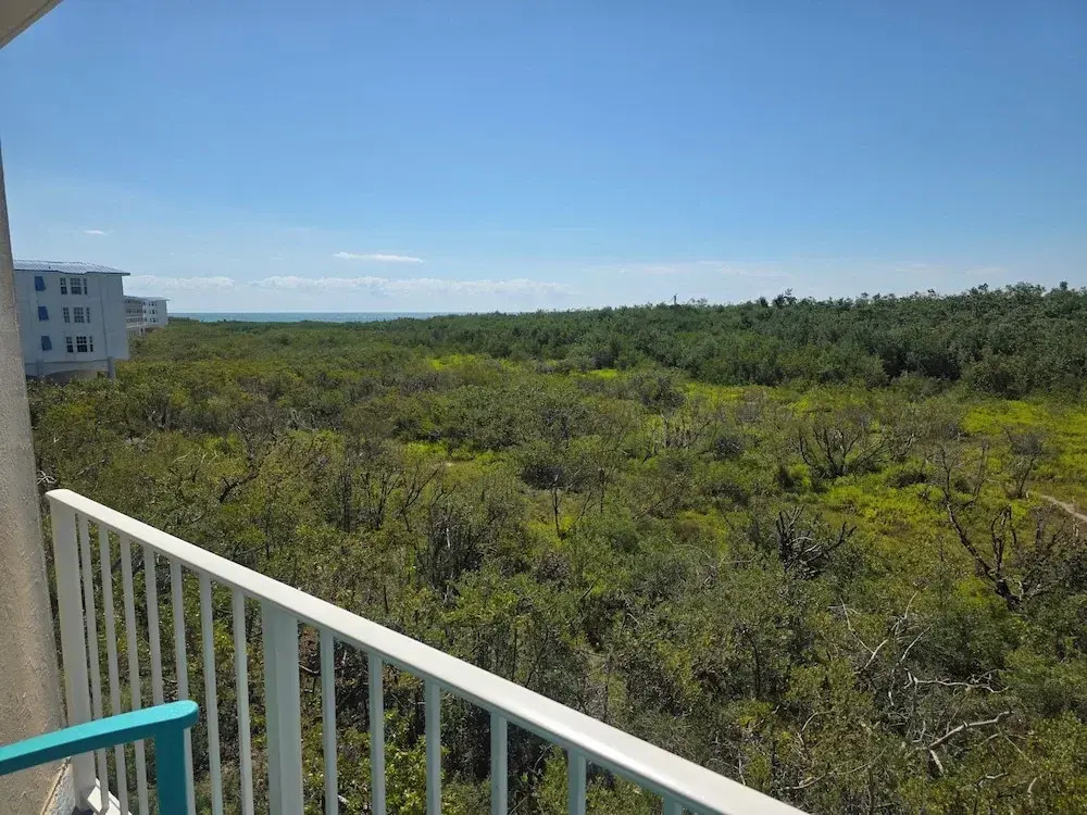 Condo in the Keys