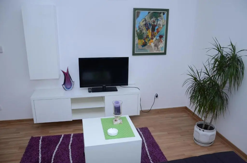 Sekulas City Center Apartment