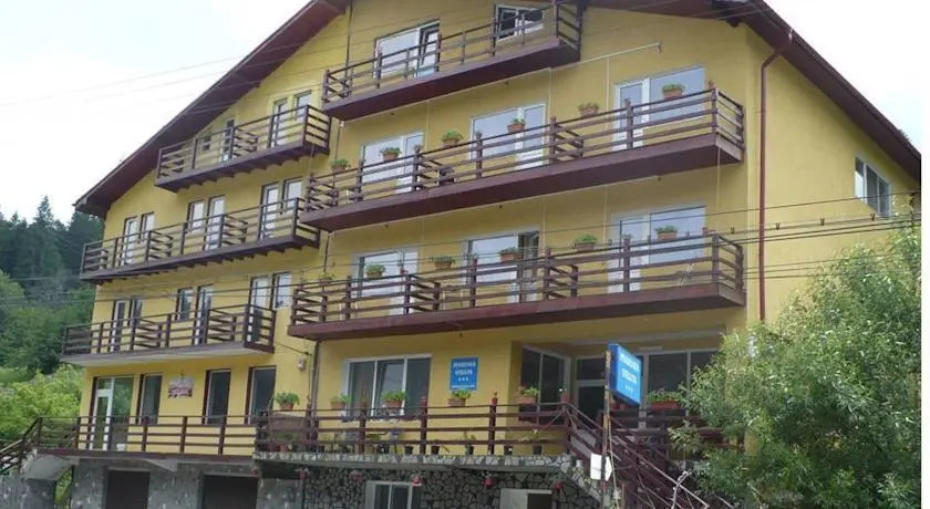 Pensiunea Steluta