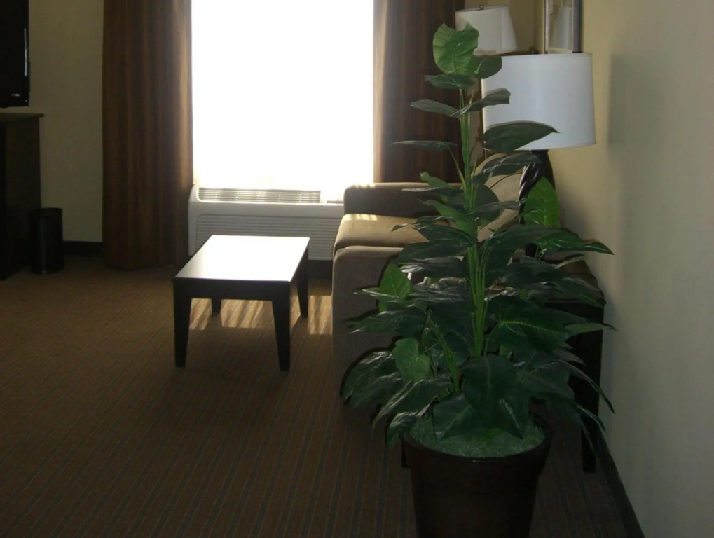 Hampton Inn and Suites Pueblo/North