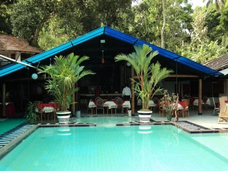 Mount Field Resort