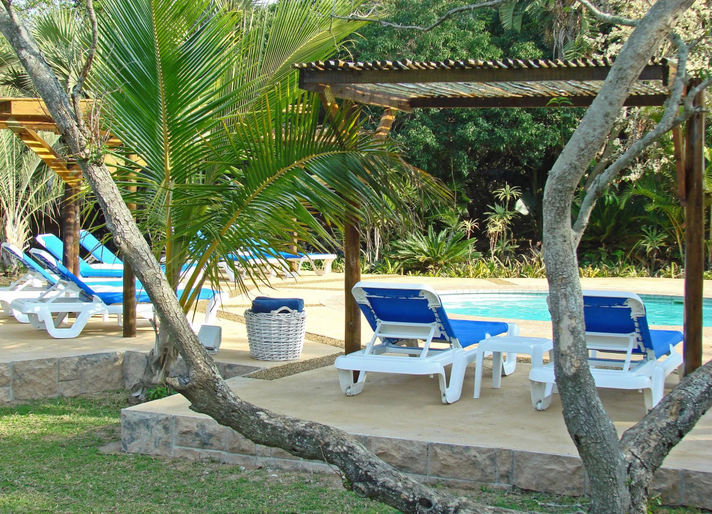 Emdoneni Lodge with Zululand Cat Conservation Project