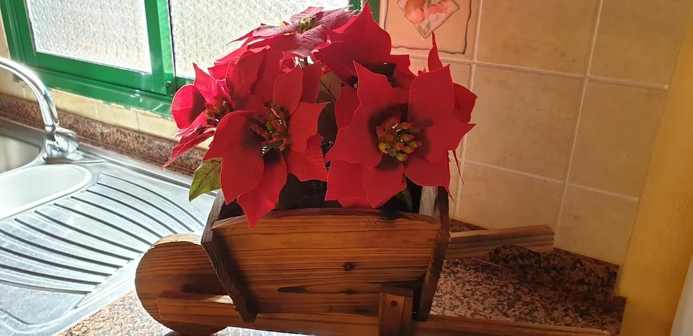 Apartment With one Bedroom in Santa Cruz de Tenerife, With Wonderful sea View, Furnished Terrace and Wifi