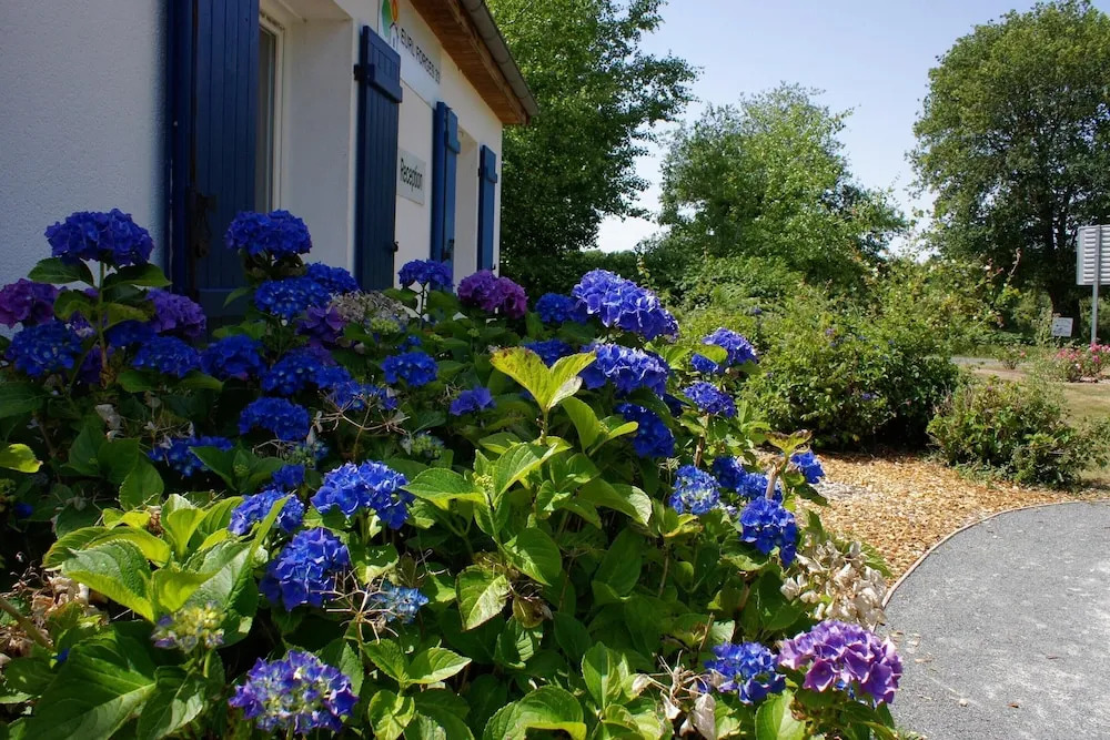 Villa in Les Forges with Golf & Pool Access