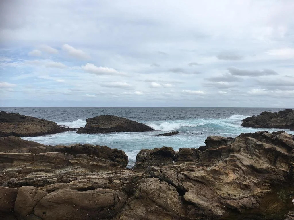 Moorhen Cove