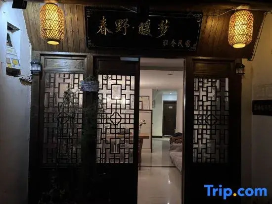 Xitang Chunye · Warm Dream Light Luxury Homestay