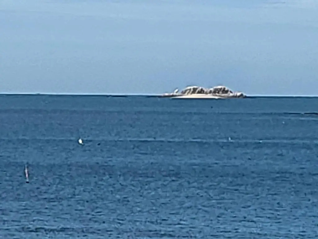 Daecheon Blue Whale Hill