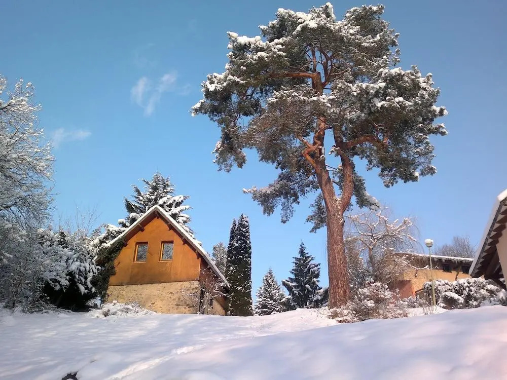 Vacancéole - Residence La Souleille des Lannes