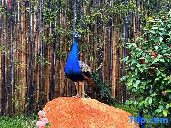Jingdezhen Sanbao Hefu Homestay