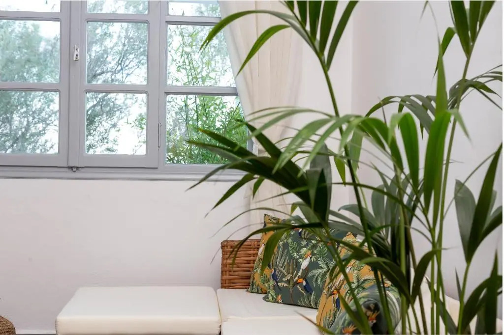 Divino Suites - Adults only
