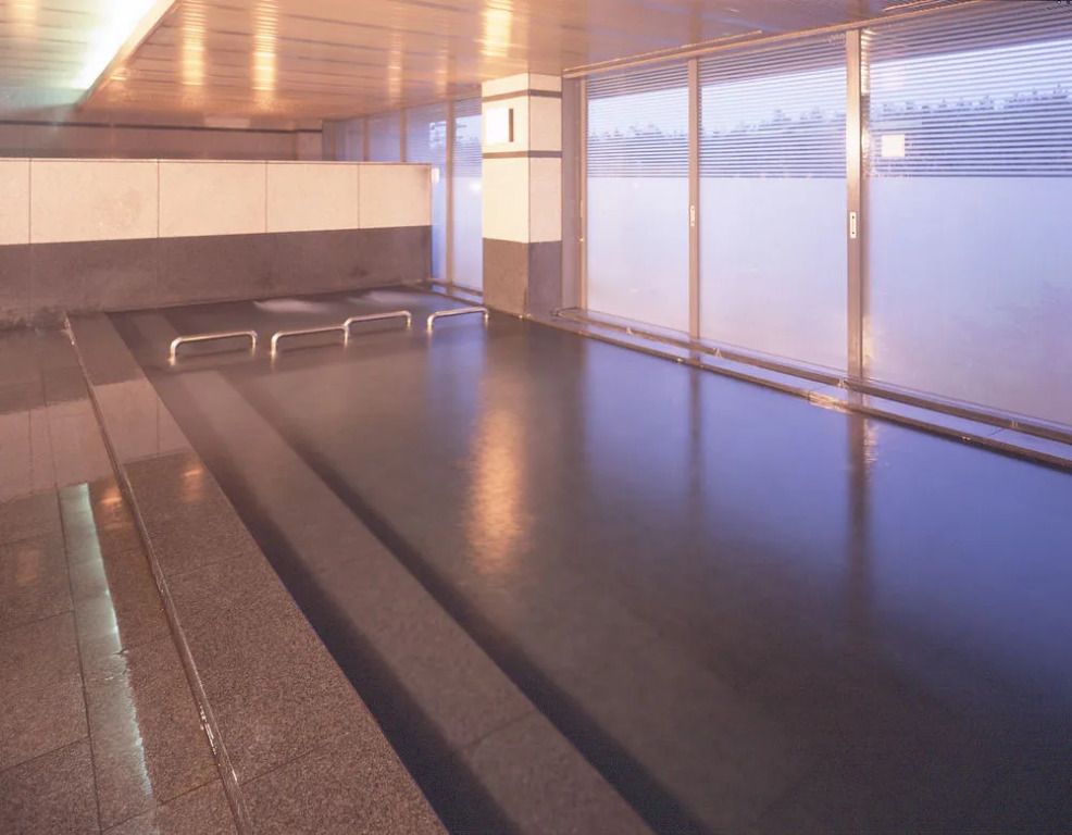 Centurion Hotel Technoport Fukui- Artificial Radium Hot Spring